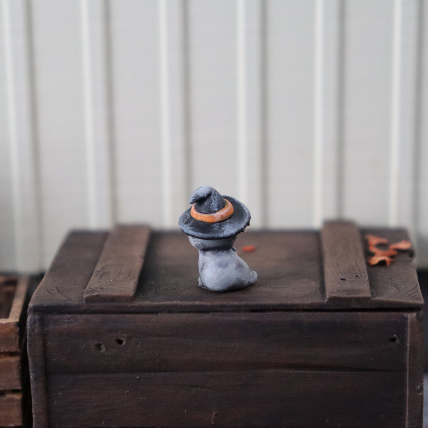 Miniatyrkatt med häxhatt