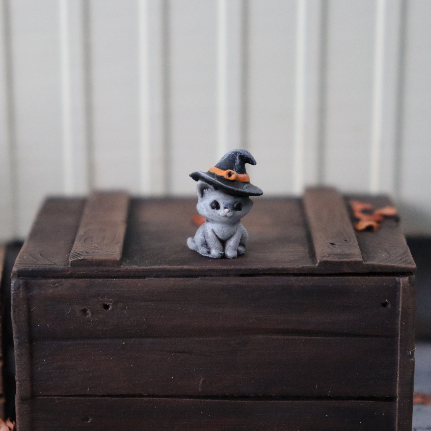Miniatyrkatt med häxhatt